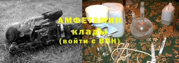 шишки Баксан