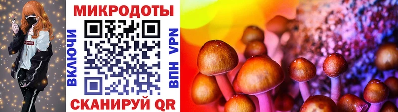 Галлюциногенные грибы Magic Shrooms  Долгопрудный 